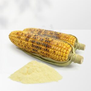 Corn Seasoning Powder 7880