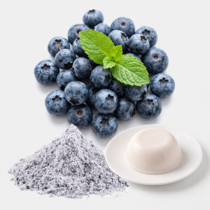 ผงพุดดิ้งกลิ่นบลูเบอรี่ (Blueberry Pudding Powder)