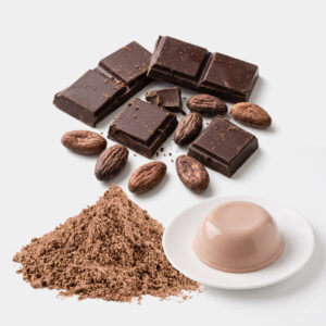 ผงพุดดิ้งกลิ่นช็อคโกแล็ต (Chocolate Pudding Powder)