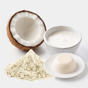 ผงพุดดิ้งกลิ่นมะพร้าวนมสด (Coconut Milk Pudding Powder)