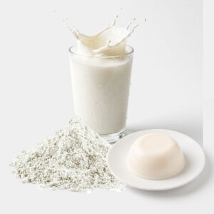 ผงพุดดิ้งกลิ่นนมสด (Fresh Milk Pudding Powder)