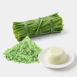 ผงพุดดิ้งกลิ่นใบเตย (Pandan Pudding Powder)